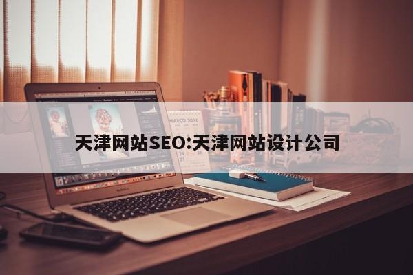 天津网站SEO:天津网站设计公司