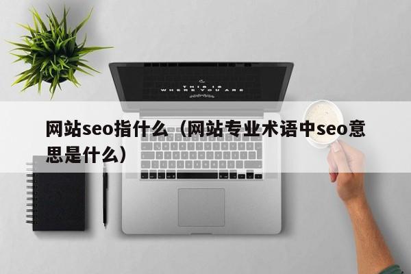 网站seo指什么(网站专业术语中seo意思是什么)