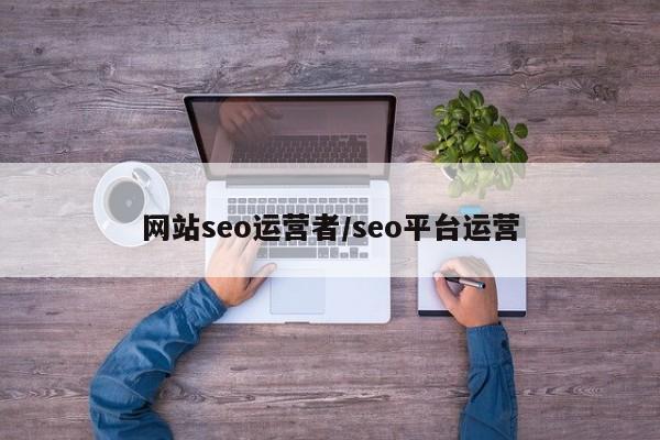 网站seo运营者/seo平台运营