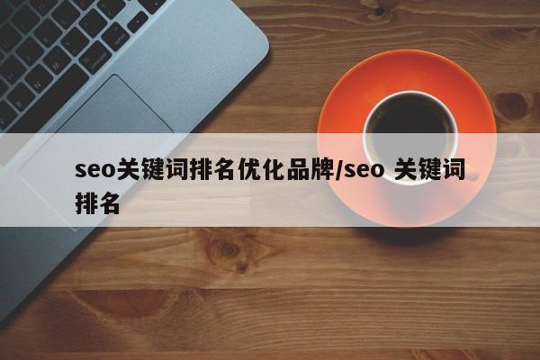 seo关键词排名优化品牌/seo 关键词排名