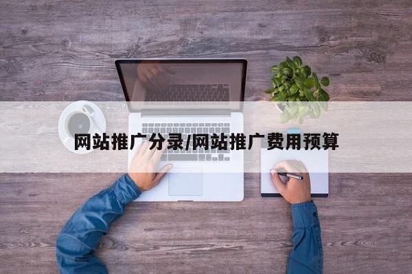 网站推广分录/网站推广费用预算