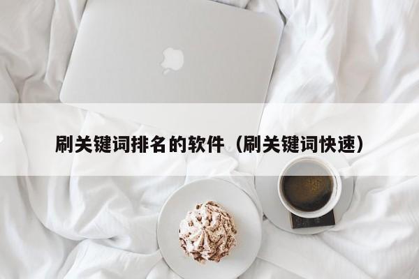 刷关键词排名的软件(刷关键词快速)