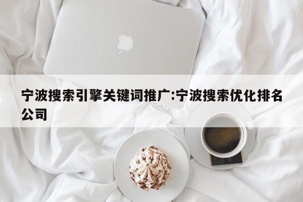 宁波搜索引擎关键词推广:宁波搜索优化排名公司